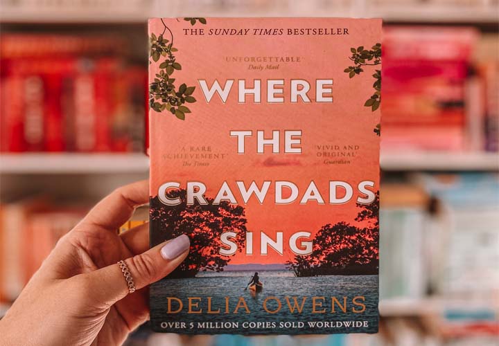 Where the Crawdads Sing e-book